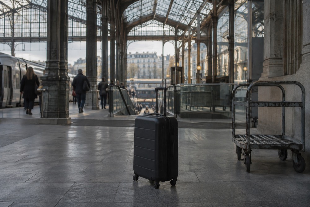 A suitcase standing under the ironwork roof of a grand Paris station hall